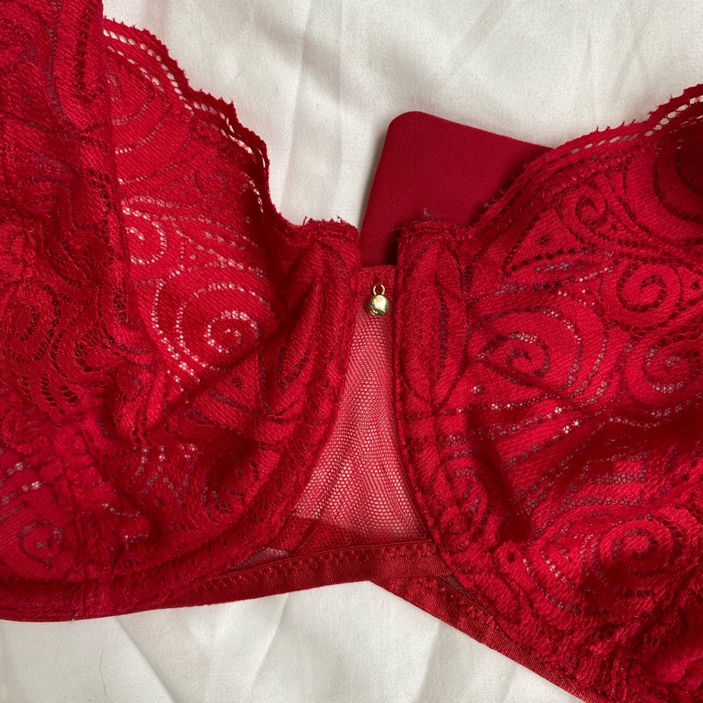 Chantelle red bra 34dddd